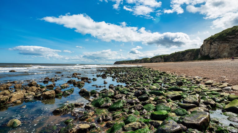 Blast Beach with sunlit rock pools and bright green seaweed covered rocks in the foreground and white capped waves behind. To the right, a strip of pale orange and grey pebbled beach at the foot of cream coloured craggy cliffs topped with vegetation stretch away into the distance. The sky is intense blue with white fluffy clouds.